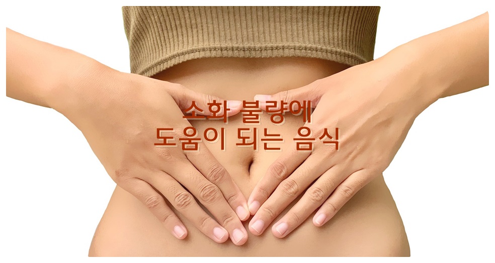 소화 불량에 도움이 되는 음식