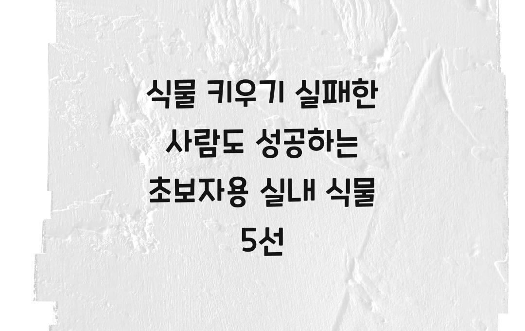 식물 키우기 실패한 사람도 성공하는 초보자용 실내 식물 추천
