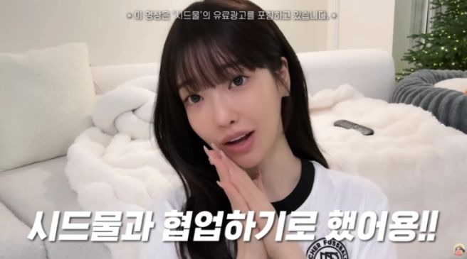 시드물 과즙세연 협업 논란 총정리: 브랜드 정체성 훼손과 리스크 관리 실패가 불러온 불매 운동 분석