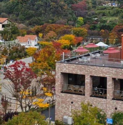 용인/새로운/인기/핫플/용/자작나/숲