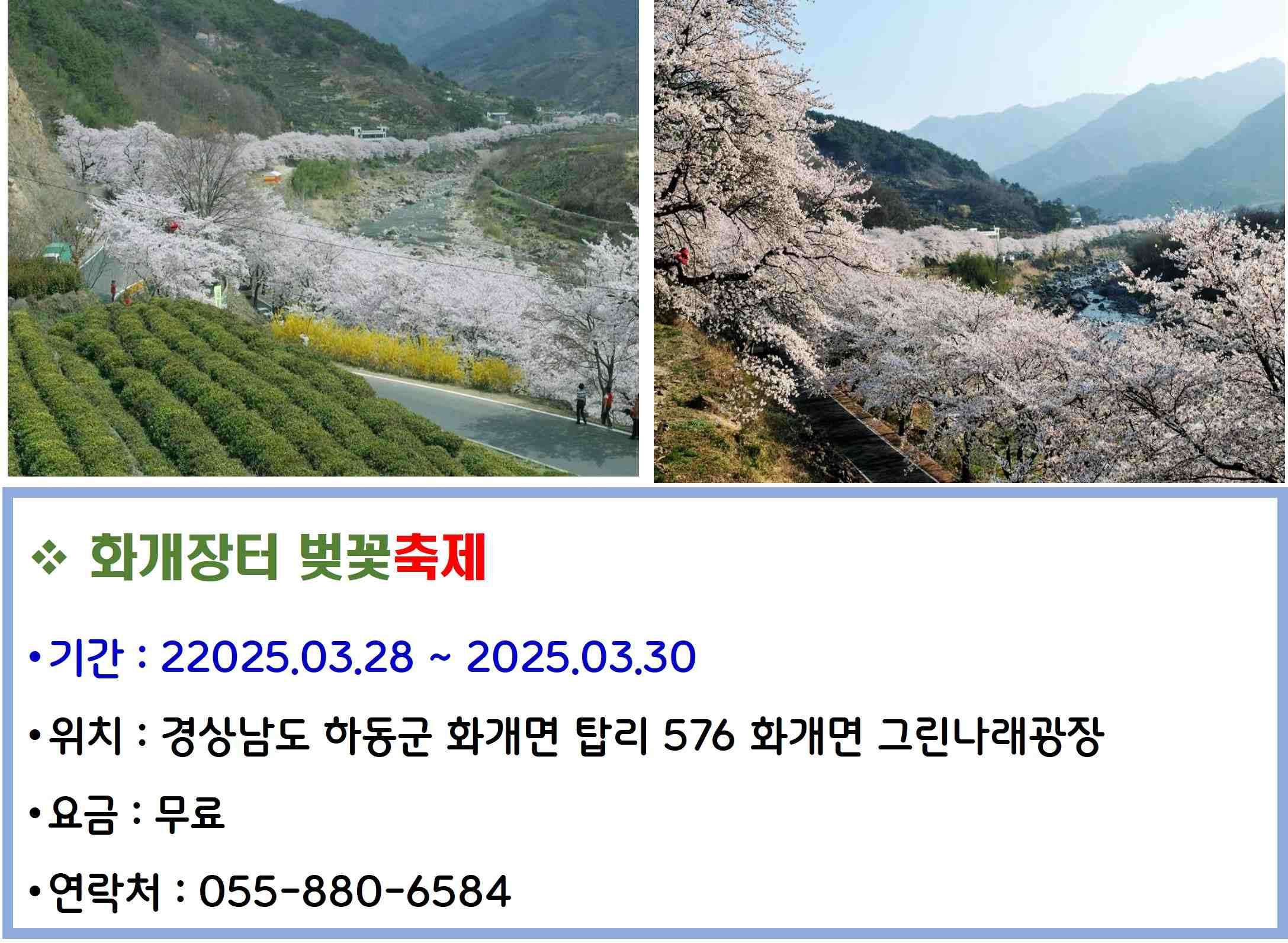 화개장터 벚꽃축제