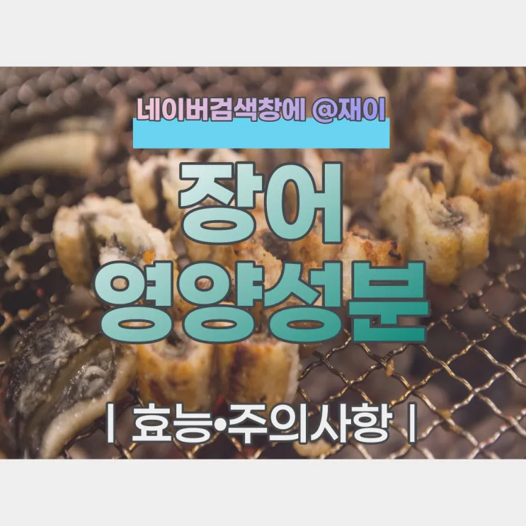 장어 효능 장어와 상극인 음식 건강 상식_1