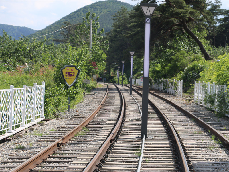 문경 철로자전거 - 가족 필수 체험 코스
