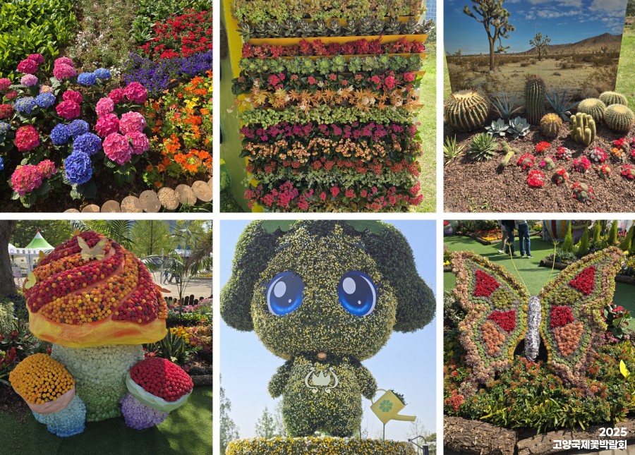 2025 고양국제꽃박람회 꽃 이미지