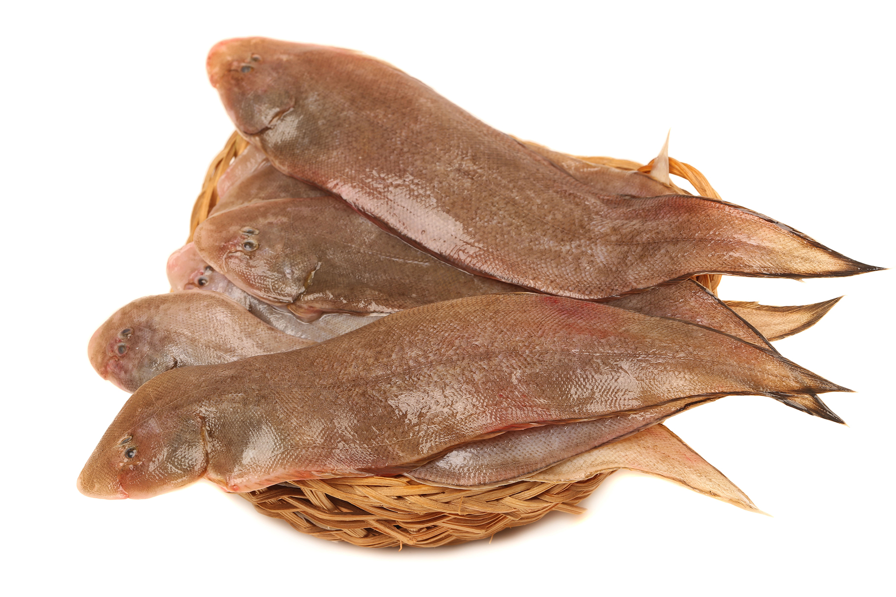 서대는 가자미목 참서대과에 속하는 평형한 생선으로, 쫄깃한 식감과 달콤한 맛으로 유명