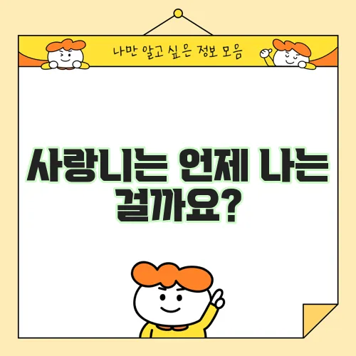 사랑니는 언제 나는 걸까요?