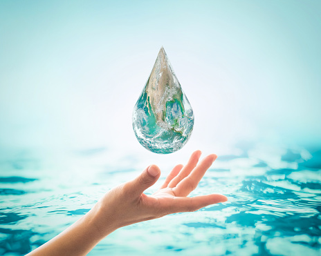 신장에좋은음식