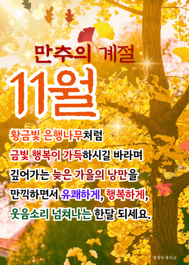 노란 은행나무와 함께 11월 문구가 들어간 따뜻한 만추 인사 이미지