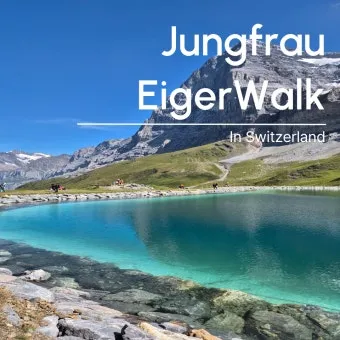 스위스 융프라우 37번 하이킹 코스 후기 아이거글래처에서 클라이네샤이덱까지 걷기로 기록_14