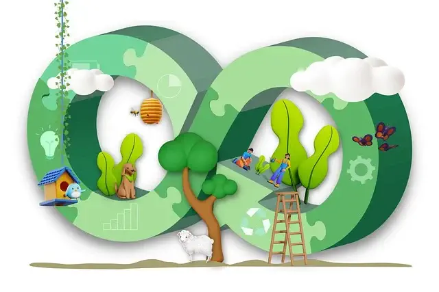 디지털 노마드 커리어에서의 지속 가능한 성장