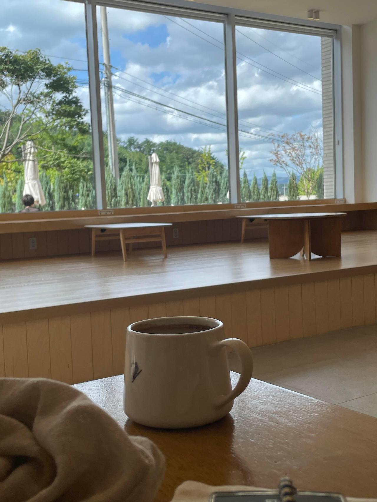 포항 반다이크 브라운