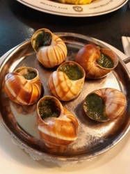 고급스런-골뱅이-요리