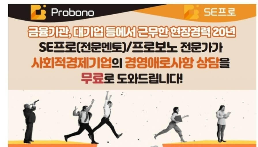 SE프로 활동 분야