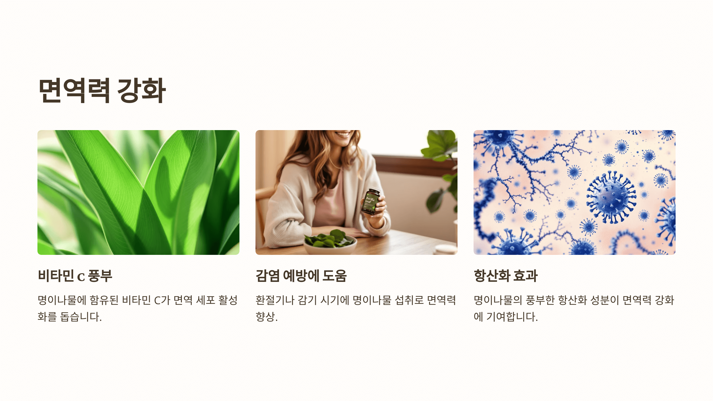 명이나물 사진입니다.