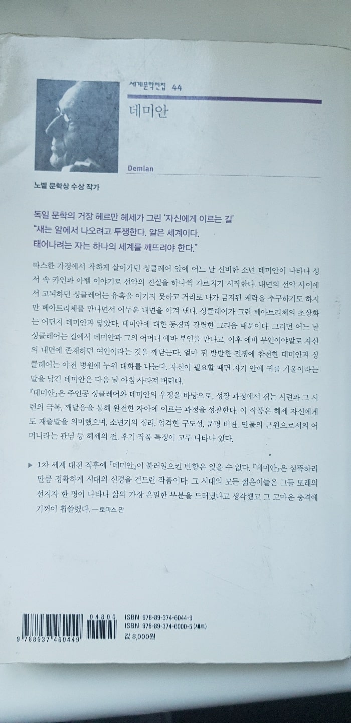 데미안 책 소설 뒷표지 모습