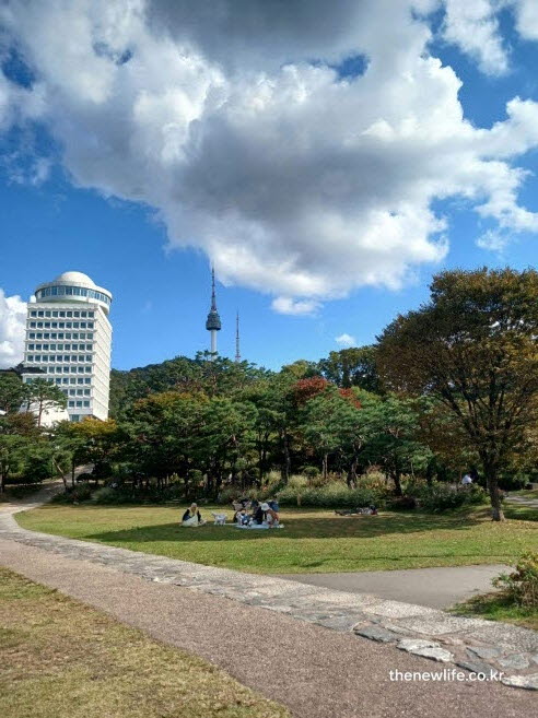서울 단풍명소 남산공원 회현자락 잔디광장과 남산타워 풍경