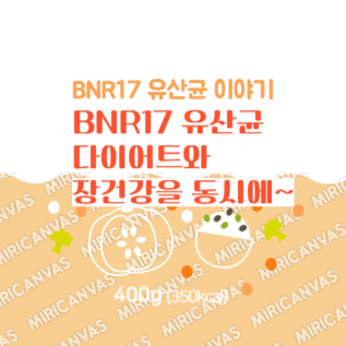 BNR17 유산균
