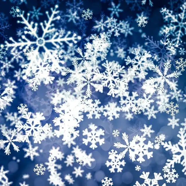 서울윈터페스타 완벽 데이트코스 3곳 총정리