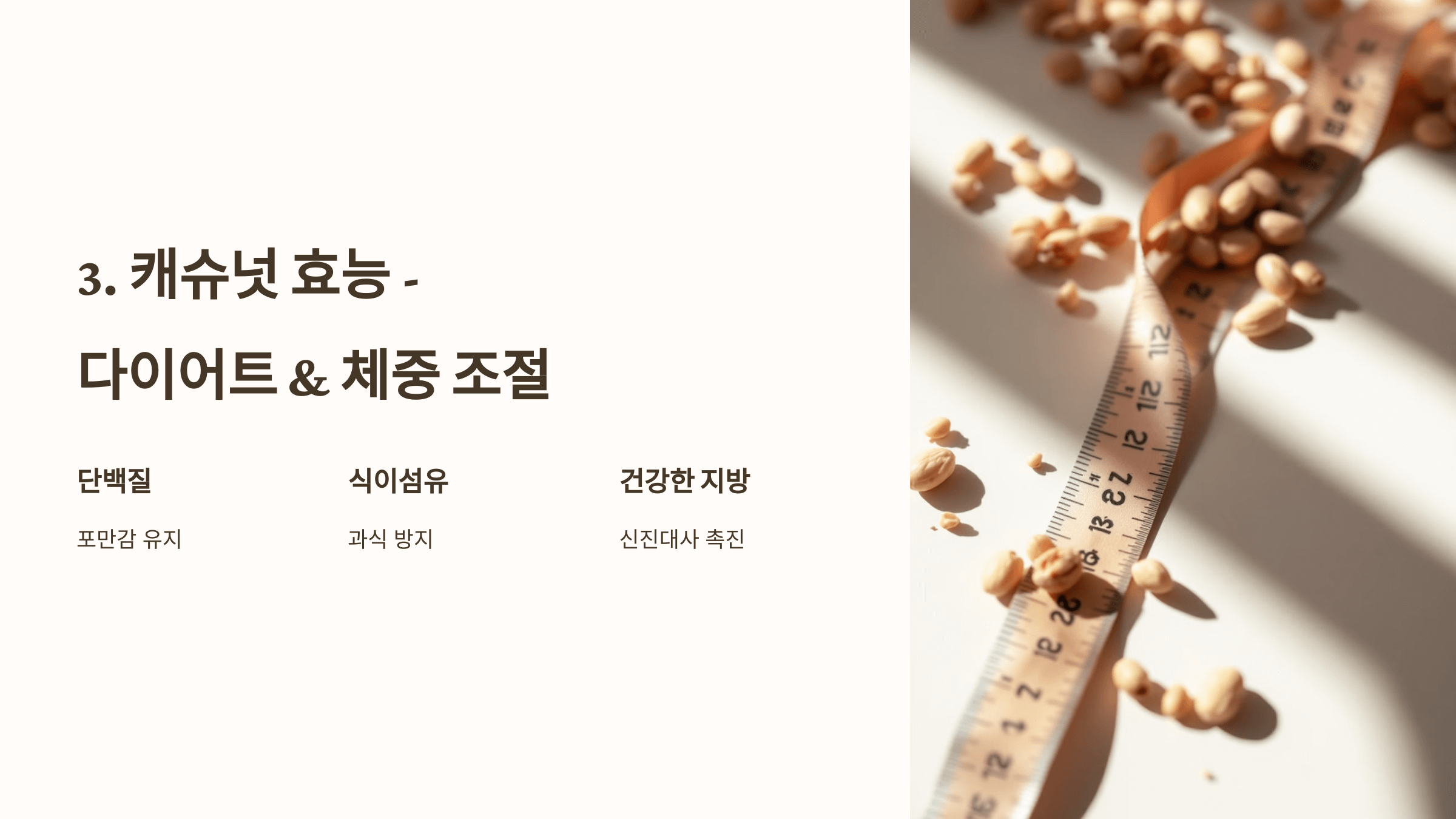 캐슈넛 사진입니다.