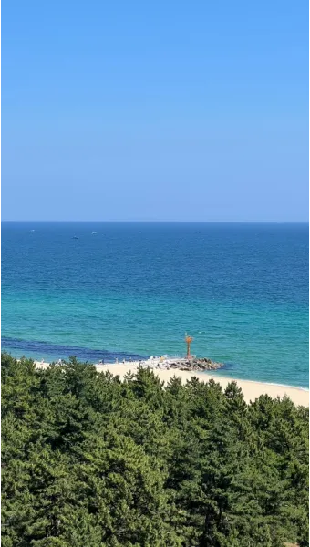 강릉 가볼만한곳 베스트10 맛집 놀거리_20