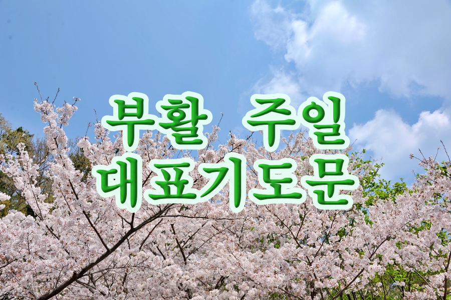 부활 주일 대표 기도문