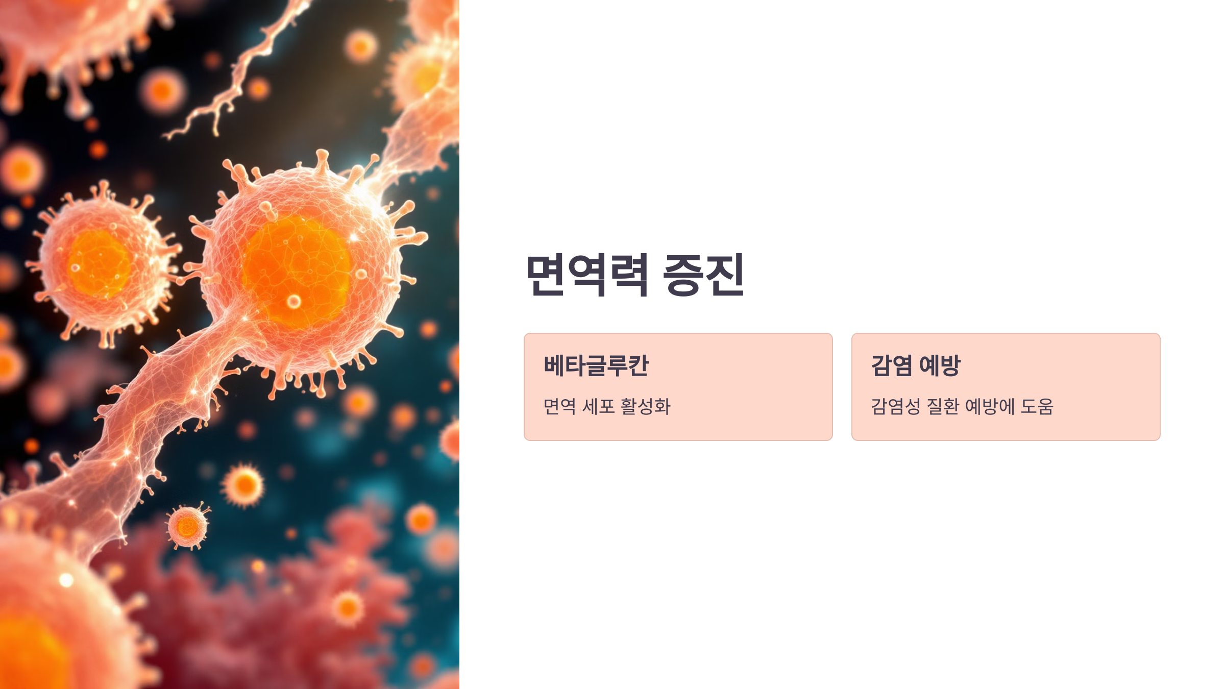 오트밀 사진입니다.