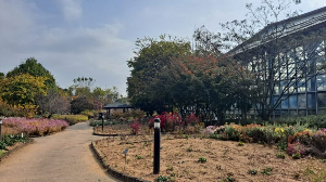 화성_우리꽃식물원_국화전시회