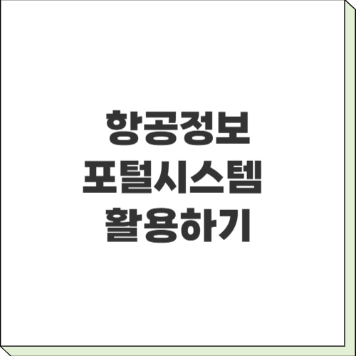 항공운항정보