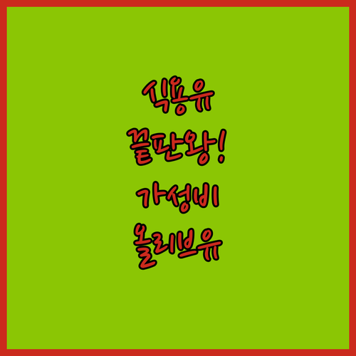 식용유 대신 쓰는 가성비 대용량 올리..