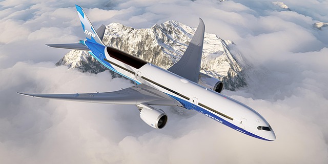 예약 전 반드시 알아야 할 팁