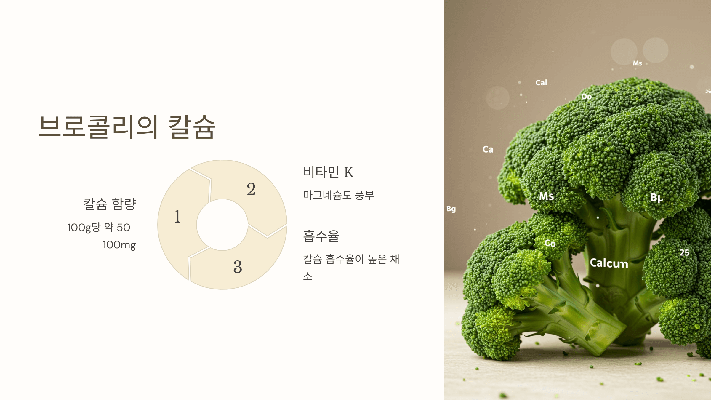 칼슘과 관련된 사진입니다.