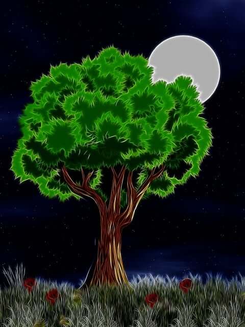 캐시워크 돈버는퀴즈 정답 11월 16일 