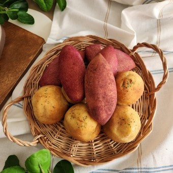 방광염에 좋은 음식 방광염의 진단과증상