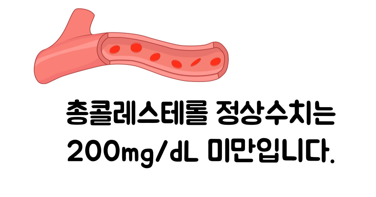 콜레스테롤 정상수치