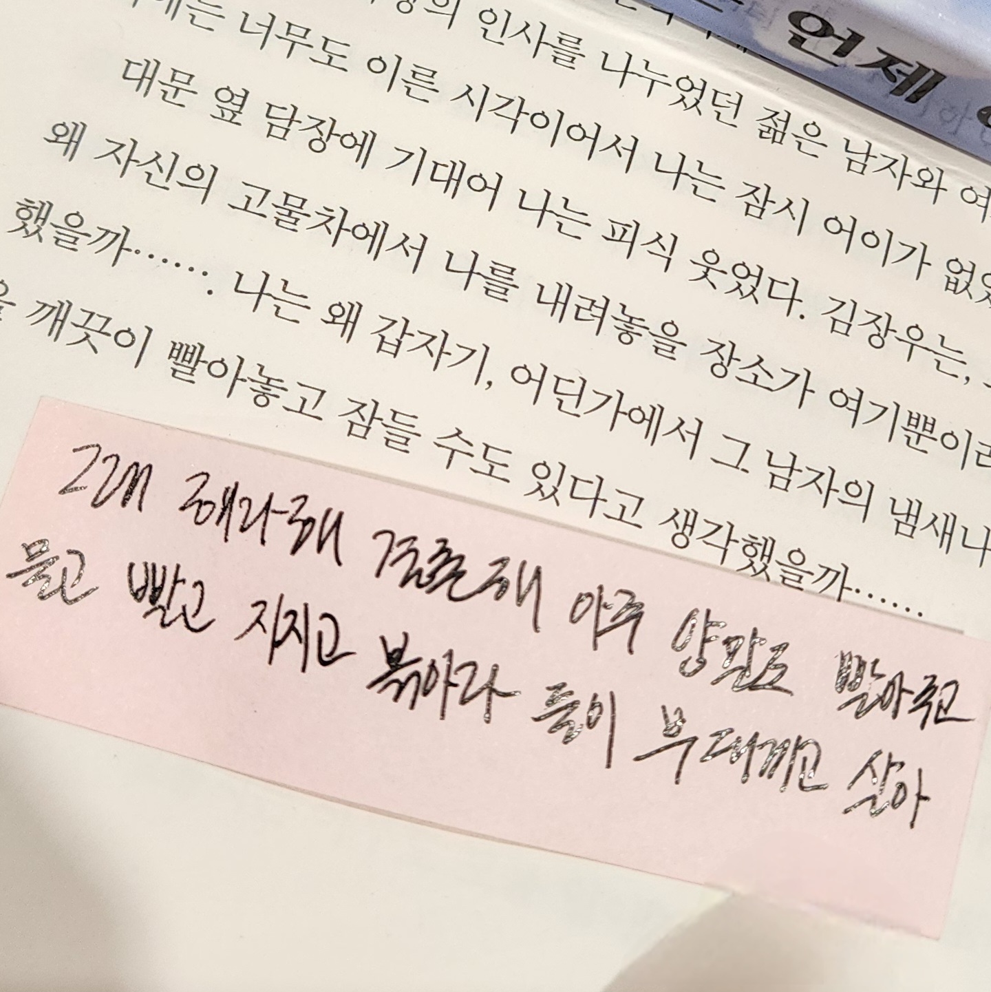책 일부에 메모지로 감상평을 적어놓은 이미지
책의 모든 줄글을 담지 않아 보이는 부분만 작성함

책의 내용

대문 옆 담장에 기대어 나는 피식 웃었다. 김장우는 ...
왜 자신이 고물차에서 나를 내려놓을 장소가 여기뿐이라...
했을까.......나는 왜 갑자기, 어딘가에서 그 남자의 냄새나...
깨끗이 빨아놓고 잠들 수도 있다고 생각했을까......

감상평
그래 해라 해 결혼해 아주 양말도 빨아주고 물고 빨고 지지고 볶아라 둘이 부대끼고 살아