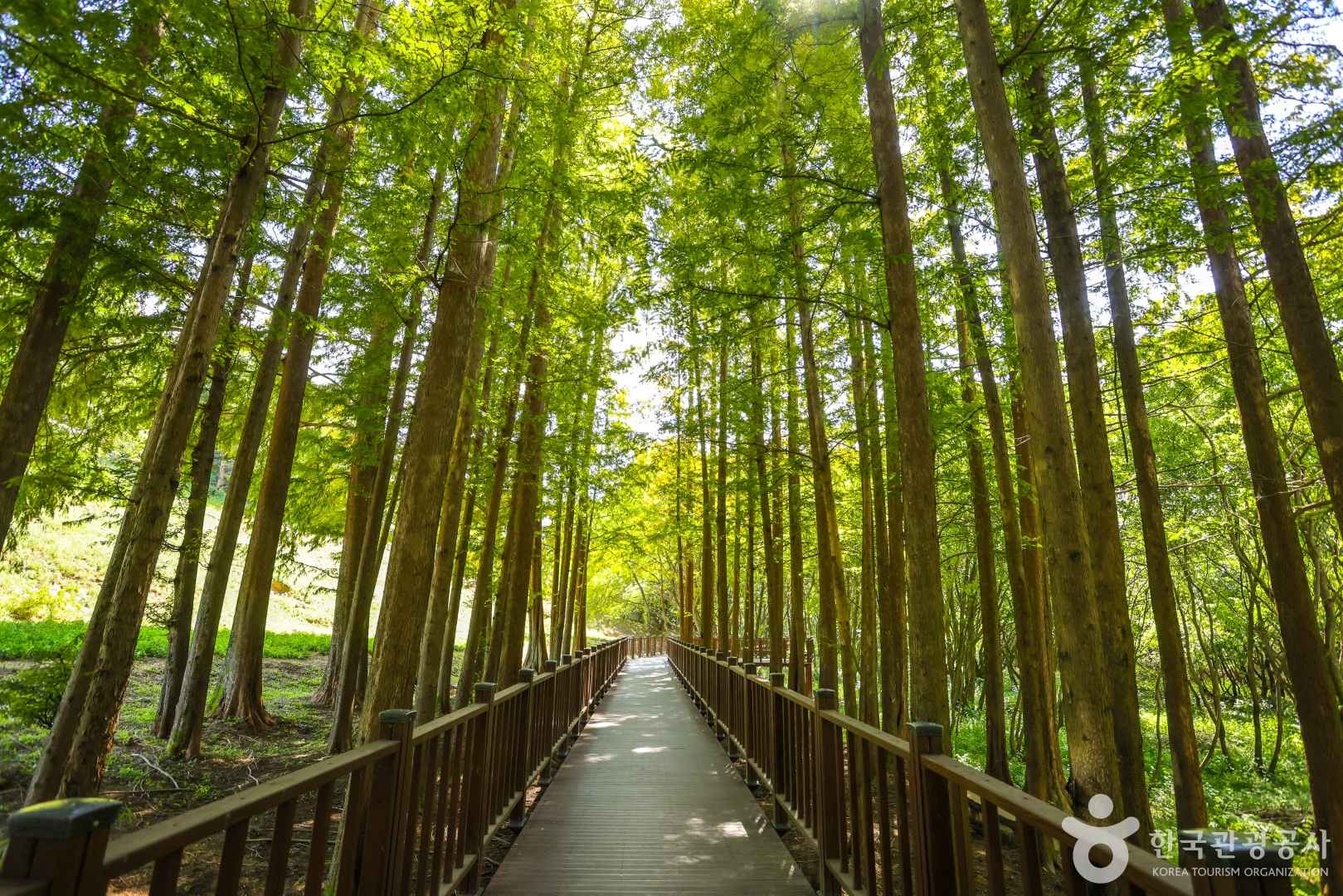 광주호 호수생태원