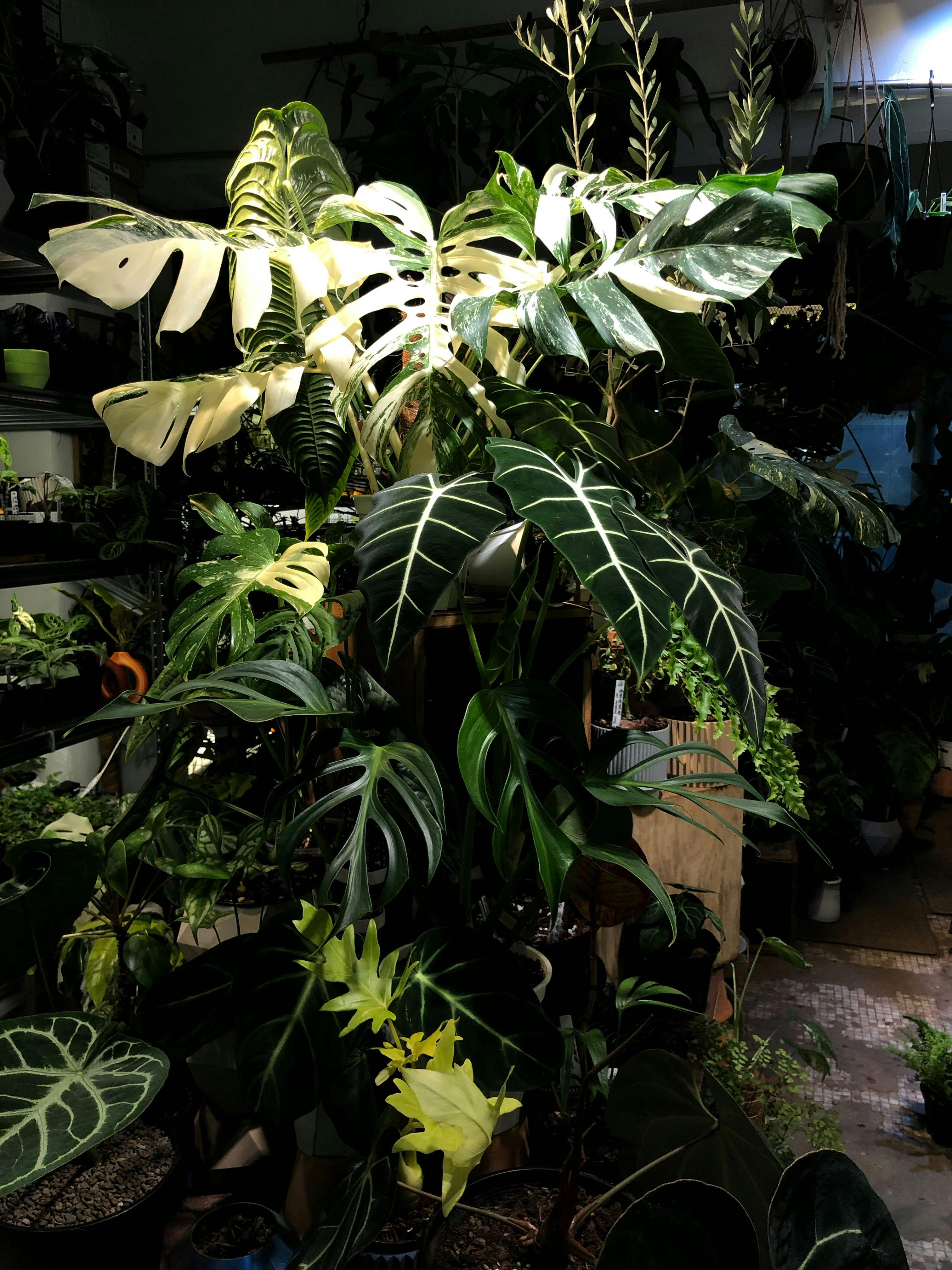 etc-image-20
