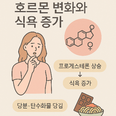 생리전 다이어트