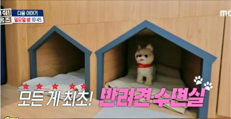 구해줘홈즈 하남 인프라 왕간다 동물병원 인접 하남시 망월동 전세 매매 매물 가격 및 구조 인테리어 리모델링 최종선택 강재준 양세찬 소개
