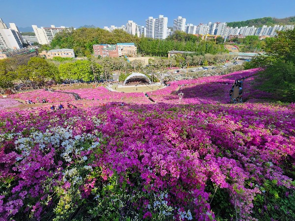 2023군포철쭉축제 꽃사진
