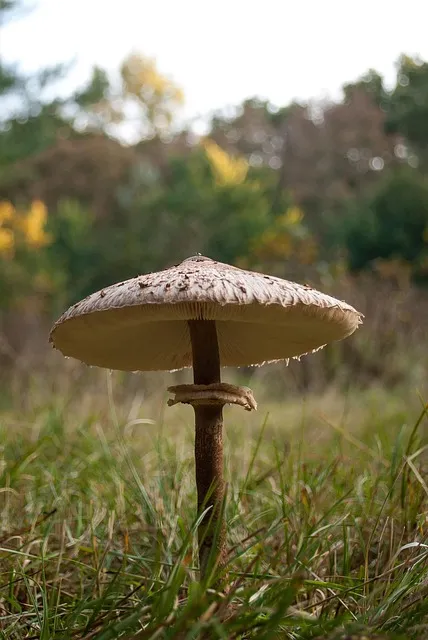 15인승 대형 승합차 렌트비용 요금 예약방법 안내_9