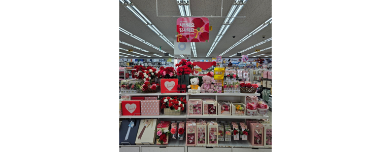 안성시 종합생활용품 다이소