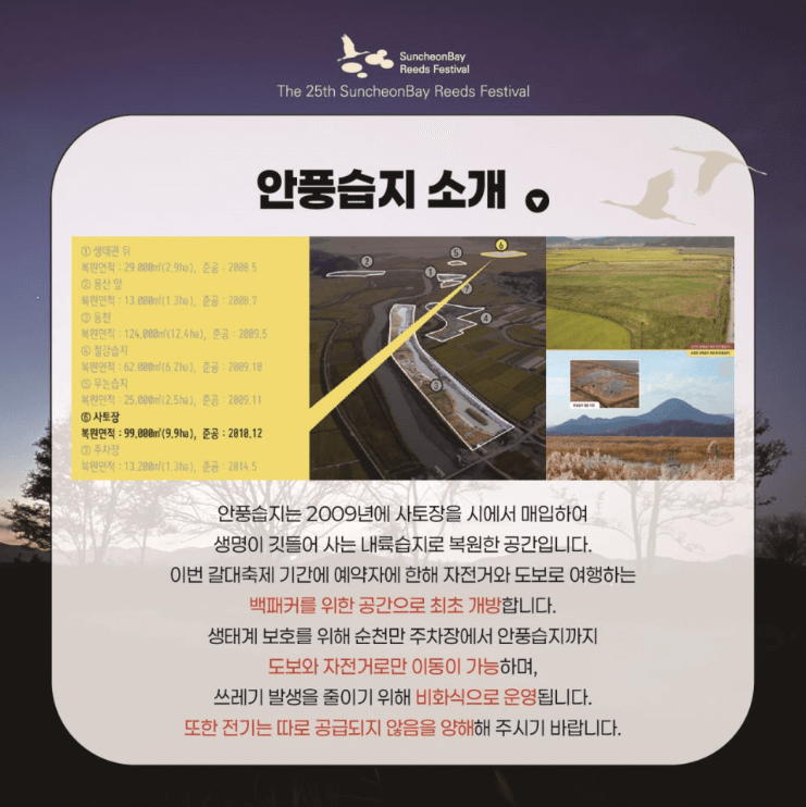 순천만 백패커의 밤