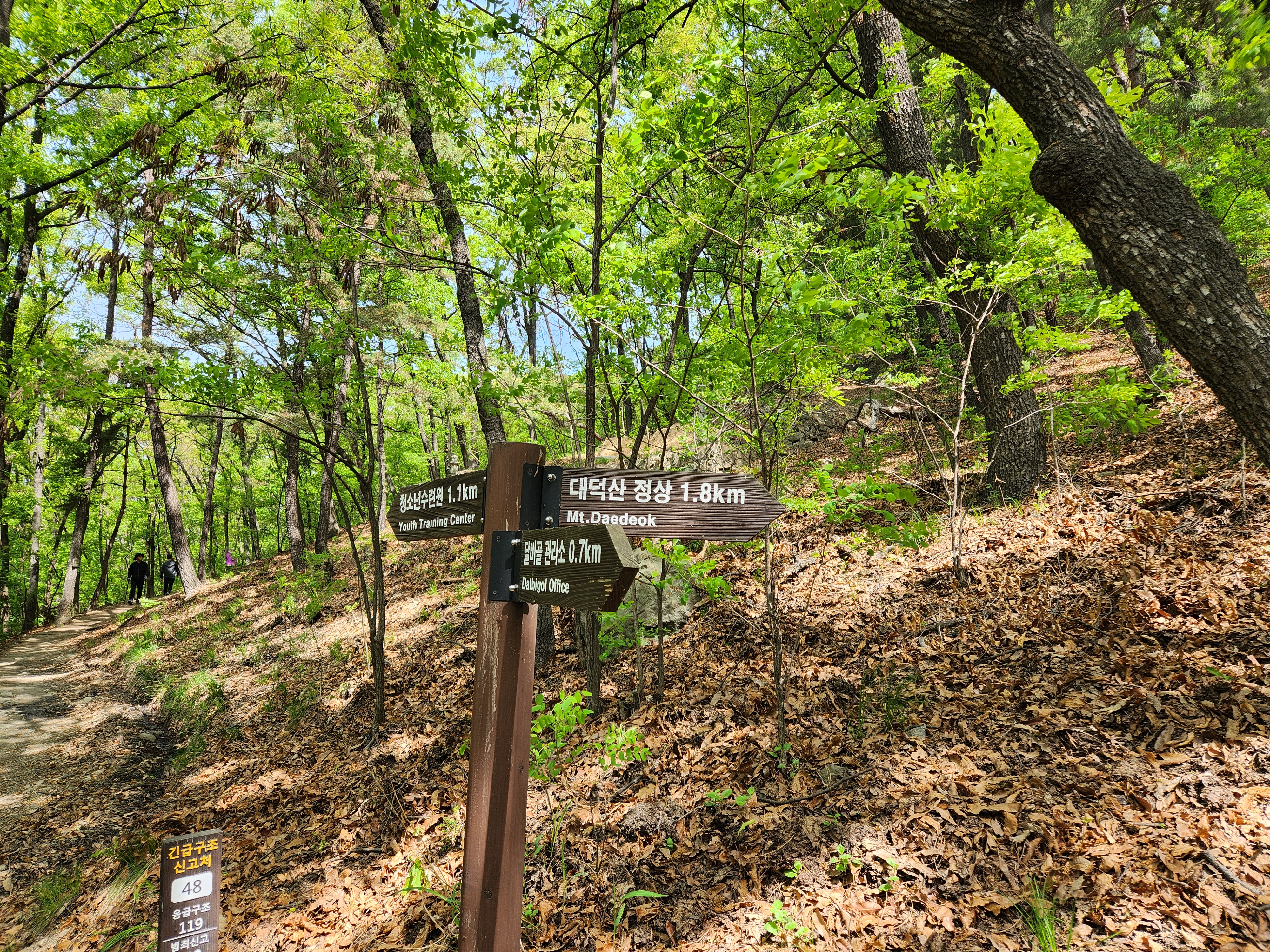 상인동 대덕산 (7)