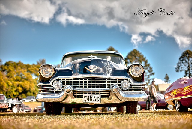 🚗 자동차 보험 비교 사이트 추천/한 번에 끝내는 꿀팁