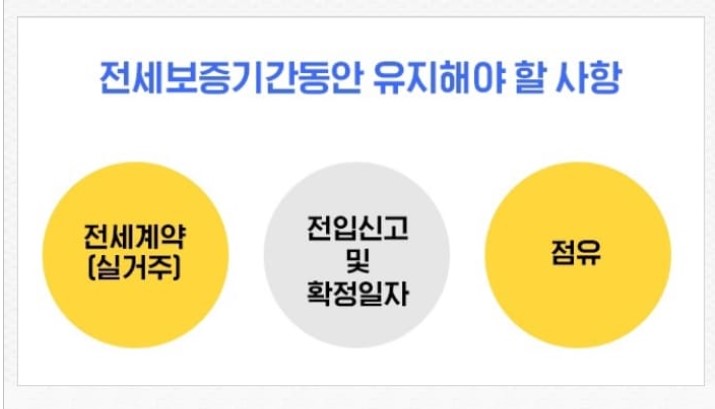 전세보증기간동안 유지해야할 사항