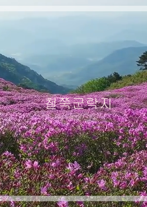 황매산 철쭉축제 주차장