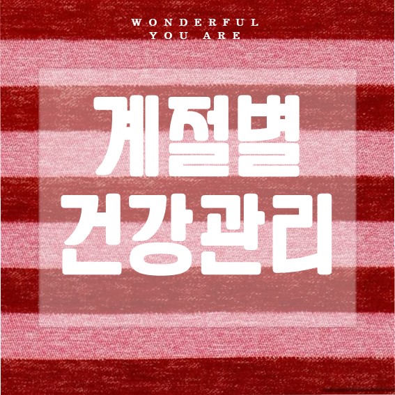 계절별 건강관리 완벽 정리: 몸과 피부 관리 비법