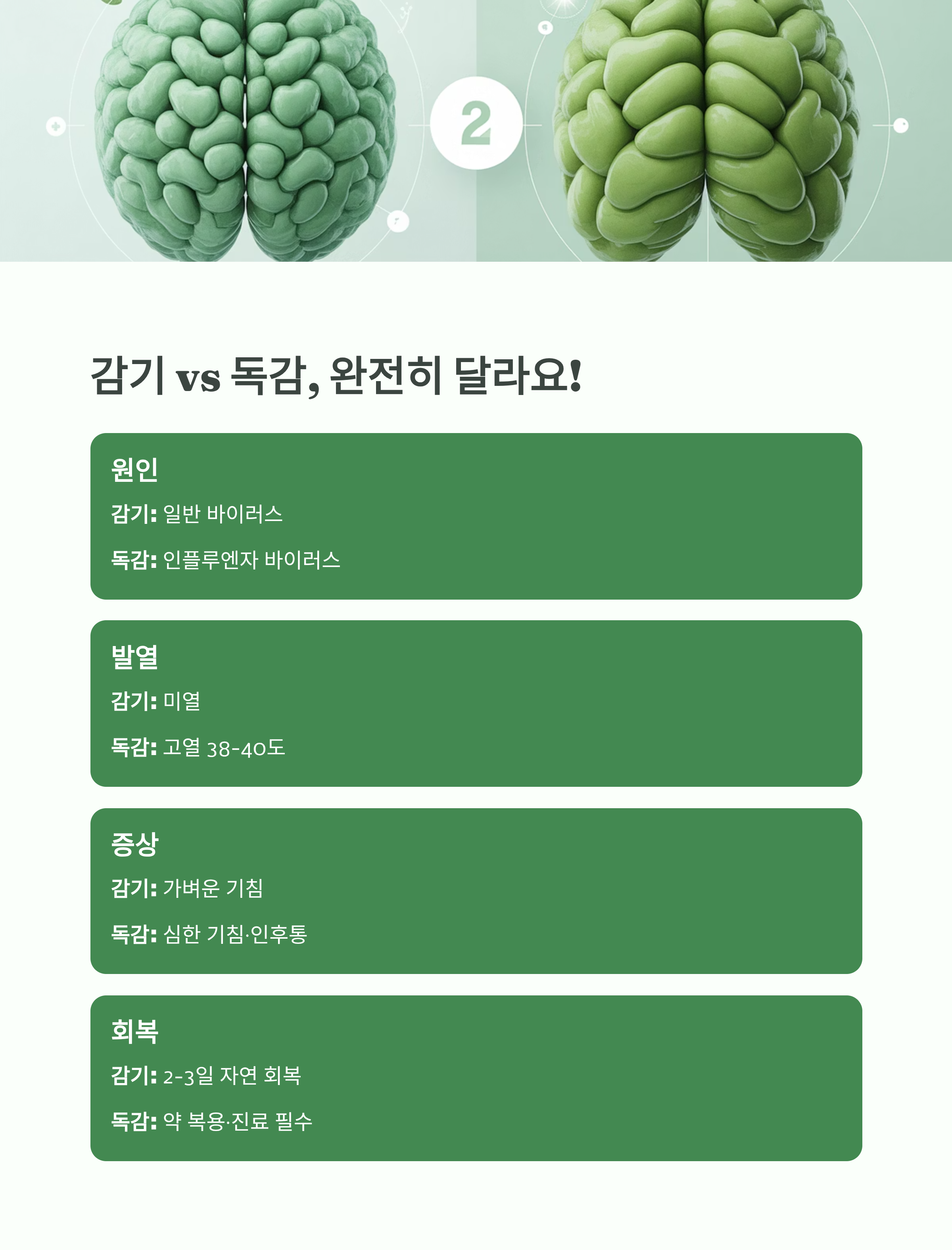 감기와 독감의 차이를 비교한 인포그래픽으로, 두 개의 녹색 뇌 모형과 함께 원인&middot;발열&middot;증상&middot;회복의 차이를 정리한 표가 포함된 이미지