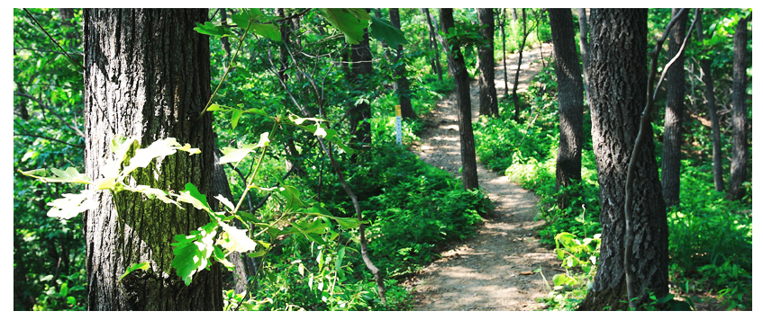 칠갑산 등산 코스 추천, 지도, 주차장 등 3분 정리